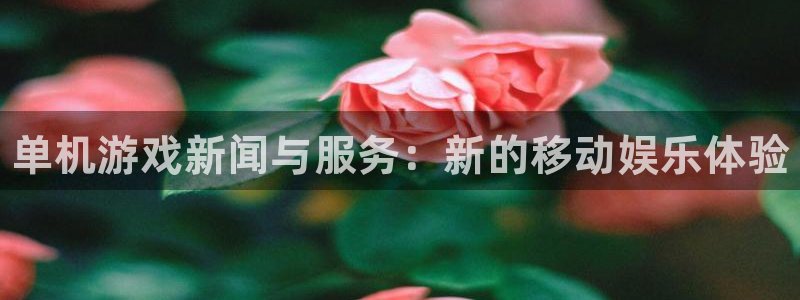 长征娱乐网页登录入口下载：单机游戏新闻与服务：新的移动娱乐体