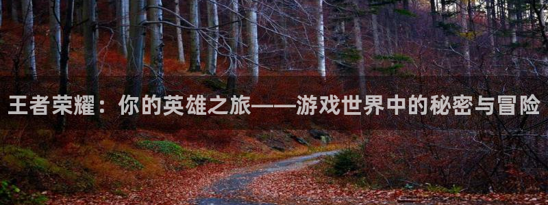 长征娱乐手机网页版登录：王者荣耀：你的英雄之旅——游戏世界中