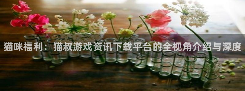 长征娱乐注册网站：猫咪福利：猫叔游戏资讯下载平台的全视角介绍