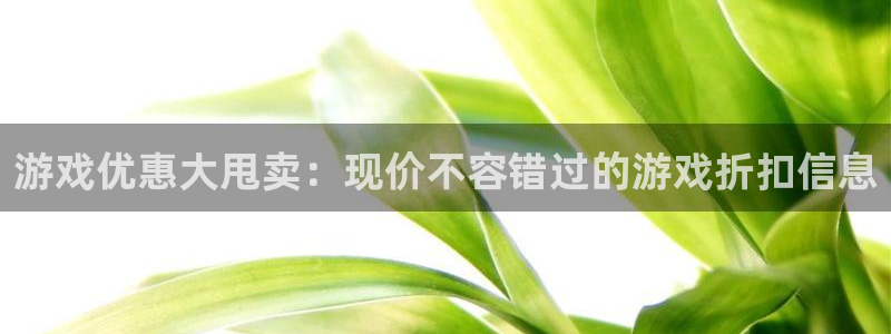长征娱乐下载：游戏优惠大甩卖：现价不容错过的游戏折扣信息