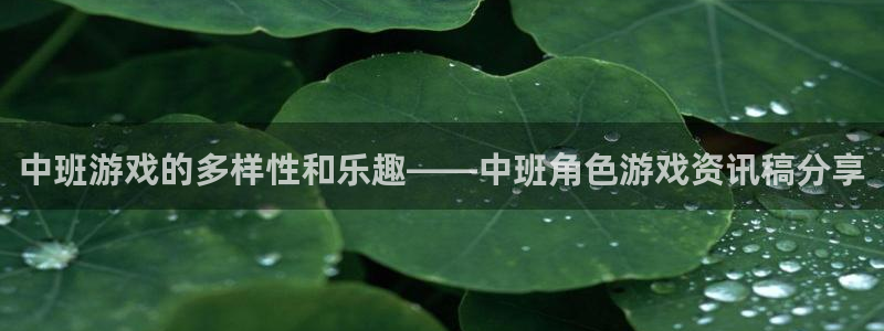 长征娱乐什么意思：中班游戏的多样性和乐趣——中班角色游戏资讯