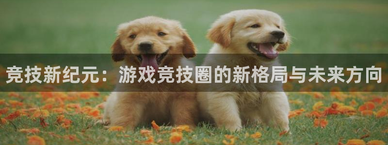 手机版长征娱乐客户端下载：竞技新纪元：游戏竞技圈的新格局与未