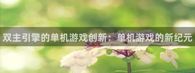 长征娱乐平台官方网站：双主引擎的单机游戏创新：单机游戏的新纪