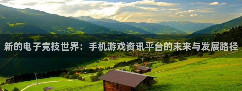 长征娱乐注册：新的电子竞技世界：手机游戏资讯平台的未来与发展