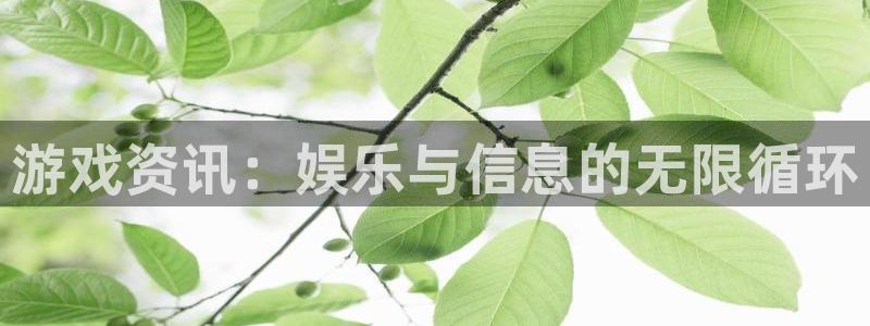 长征娱乐平台官网客服电话：游戏资讯：娱乐与信息的无限循环