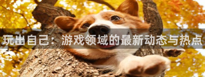 长征娱乐登陆测速：玩出自己：游戏领域的最新动态与热点