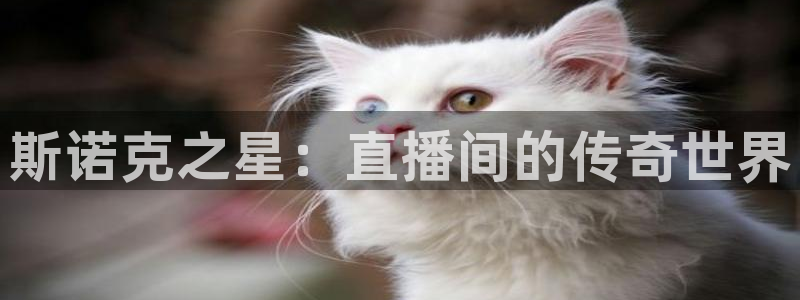蓝鲸直播体育直播在线观看：斯诺克之星：直播间的传奇世界