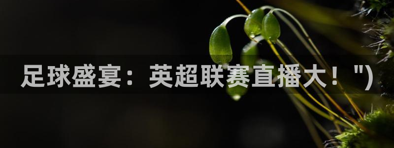 蓝鲸直播现在叫什么：足球盛宴：英超联赛直播大！\