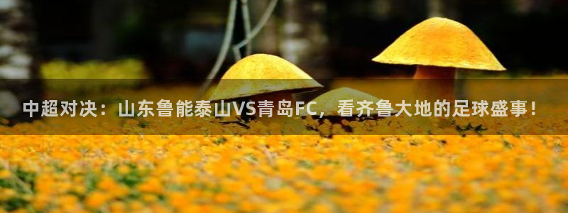 蓝鲸直播体育在线观看：中超对决：山东鲁能泰山VS青岛FC，看齐鲁大地的足球盛事！
