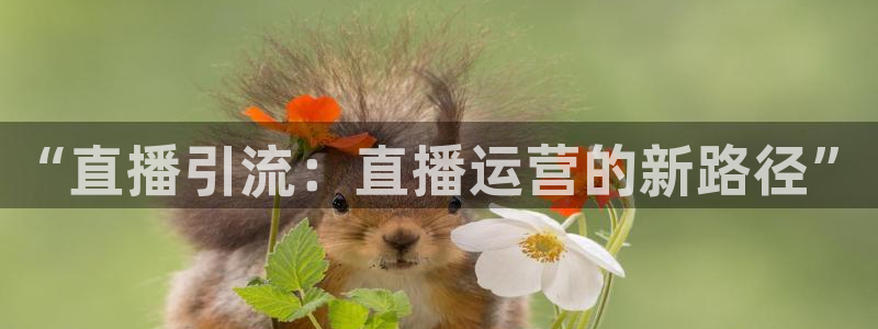 蓝鲸鱼直播app：“直播引流：直播运营的新路径”
